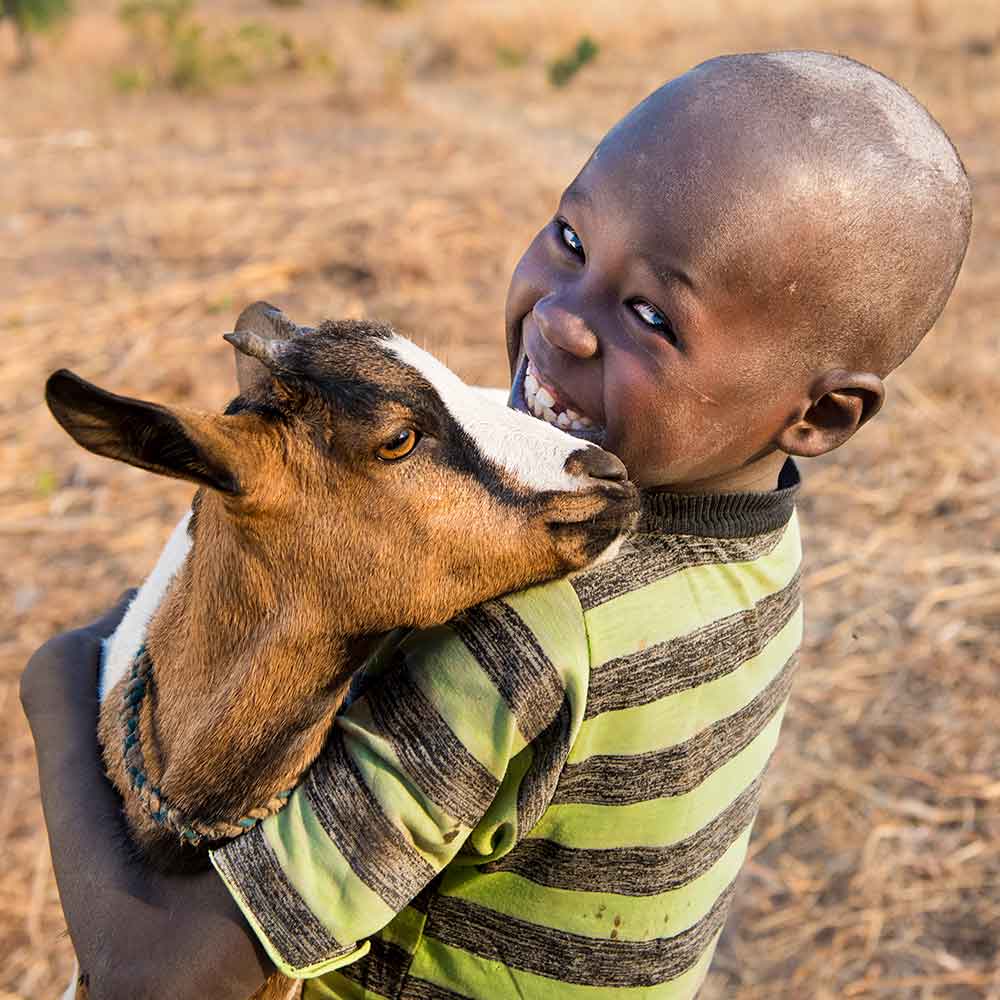 Boy and goat
