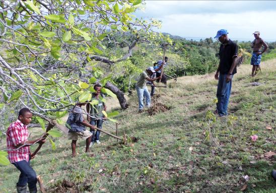 hands-on agriculture experience in Haiti
