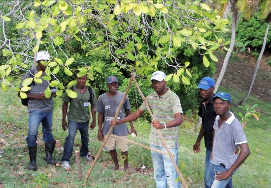 agriculture training to combat food insecurity in Haiti