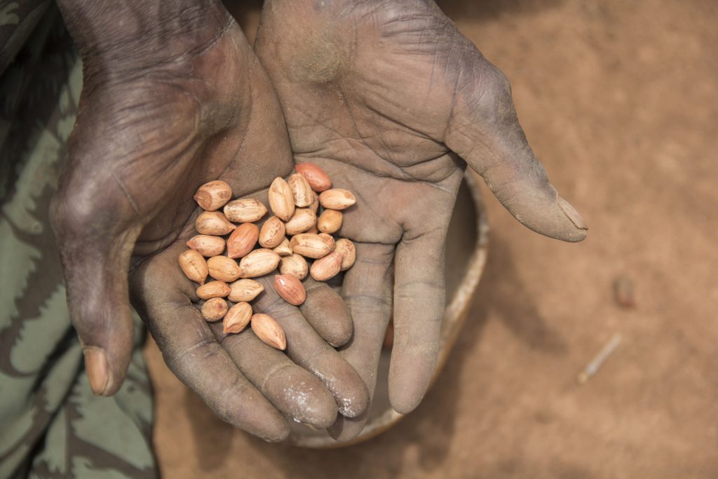 A man in South Sudan receives seeds to plant