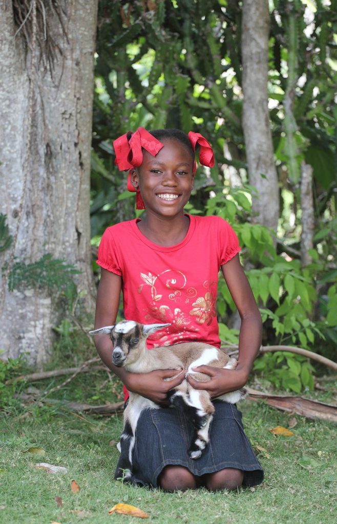 You can give the gift of a goat to a child in places like Haiti can earn a stable income and provide opportunities for kids to go to school and save for the future. 