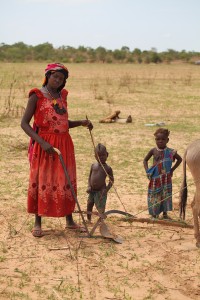 A mother in Chad with her donkey plow.