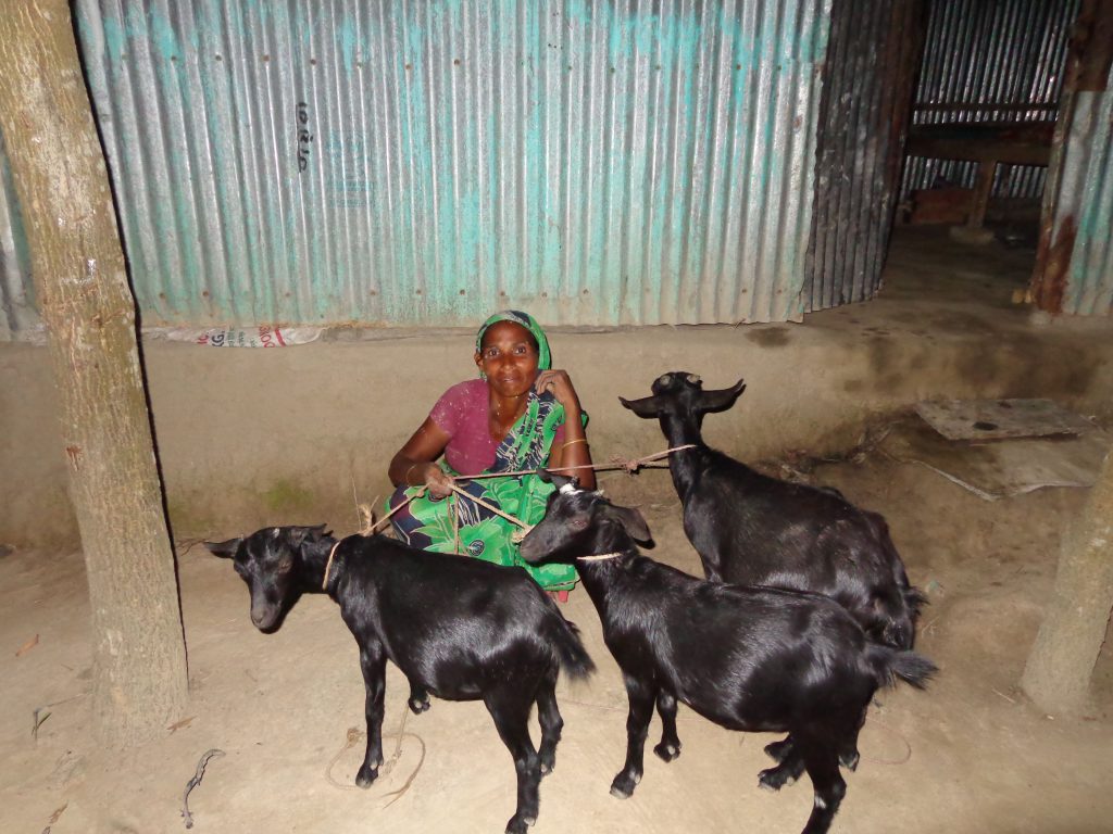 the gift of a goat to a woman like Khuki enabled her to build a house for her and her three children.