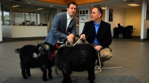 Kurt and Craig Campbell with goats in their dealership.