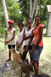 Manoucha and friends Crabier Haiti Hope to Kids 5012_6-13