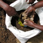 Fill the bottom of the sack with soil mixed with organic compost