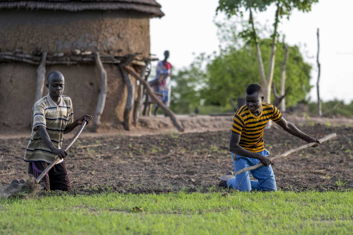 two men working in a vegetable garden in Kenya