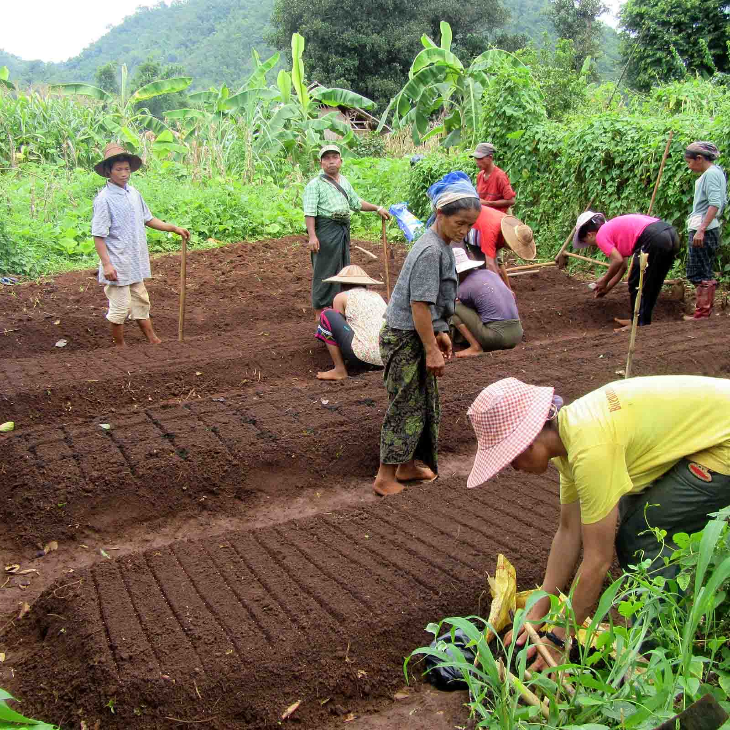 country-focus-myanmar.jpg