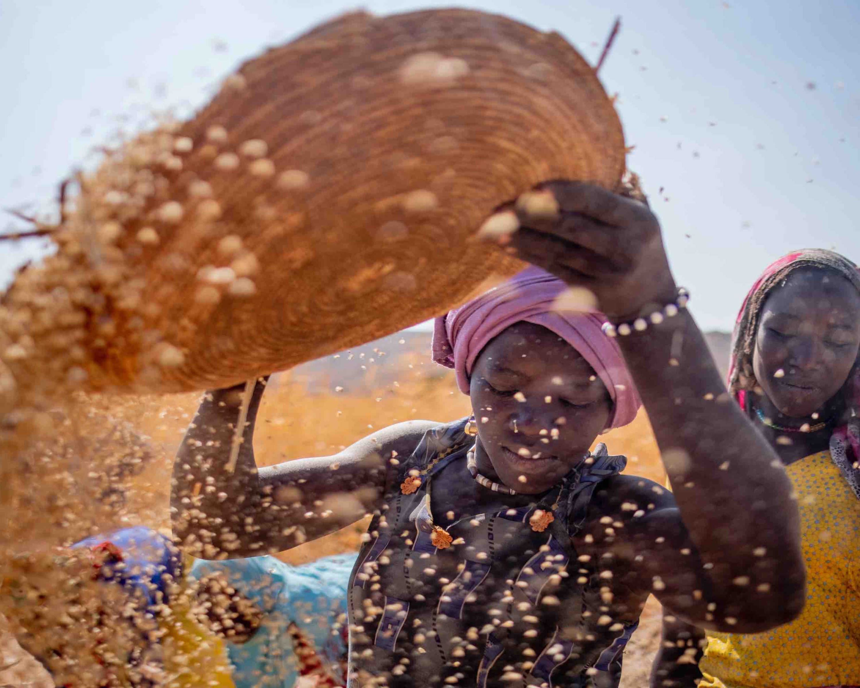 Women sifting grain